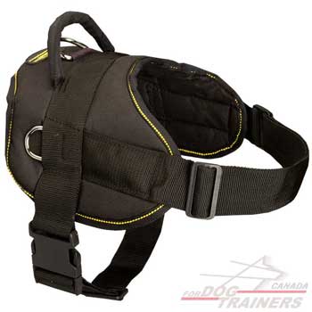 Lightweight Dog Harness Made of Nylon