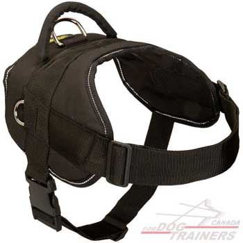 Nylon Harness for Dog Pulling