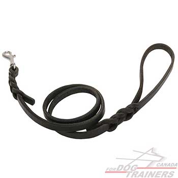 Braided Leather Dog Leash for Canine Walking