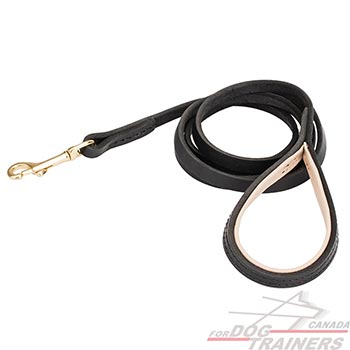 Walking Leash made of Leather
