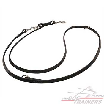 Leather Dog Leash with 2 Snap hooks and Floating Rings