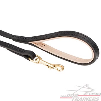 Dog Leash with special stitching 