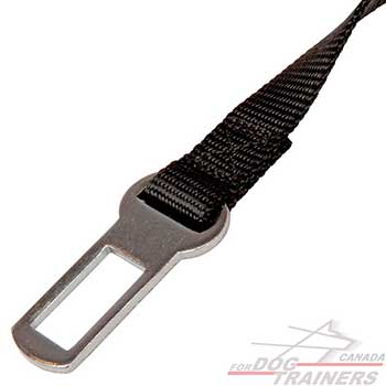 Nylon dog belt with a metal clasp