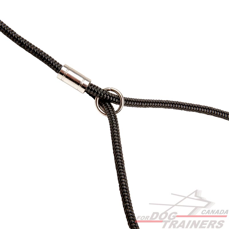 Dog Show Leashes Canada Dog Show Leashes Canada