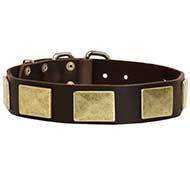 Fashion Leather Dog Collar with Brass Plates