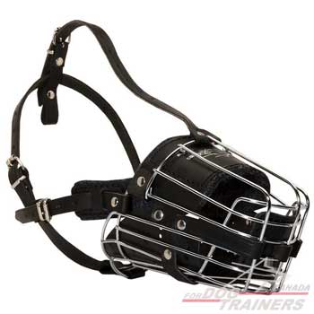 Cage dog muzzle adjustable