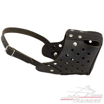 Dog Muzzle with Adjustable Strong Strap