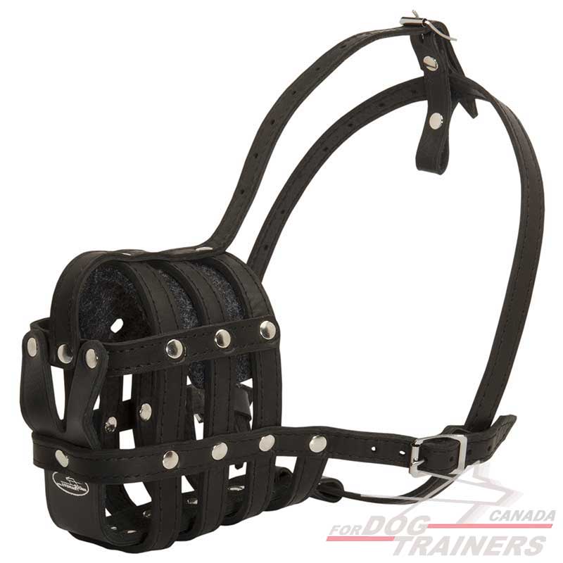 Leather sales basket muzzle