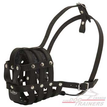 Dog muzzle leather basket