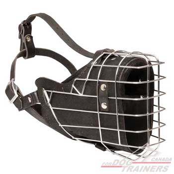 Professional dog muzzle for training dogs on duty