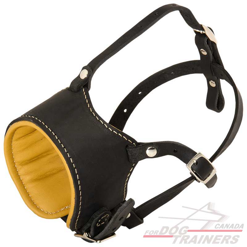 Muzzle leather top