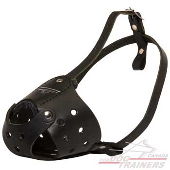Dog leather muzzle with padding for everyday cozy walks