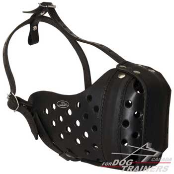 Dog leather muzzle for agitation