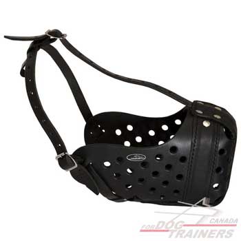 Dog muzzle leather with free air flow 