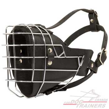 Dog leather  muzzle has wirebasis for easy breathing