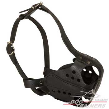 Leather dog muzzle timeproof easy adjustable 