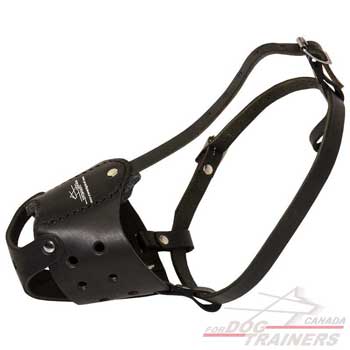 Dog leather muzzle handcrafted for safe walking in public places
