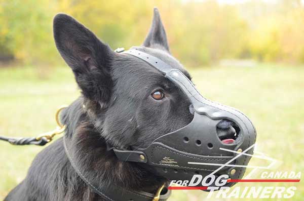 German Shepherd leather dog muzzle for different activities 