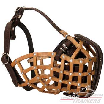 Leather Basket Muzzle for Dog Training