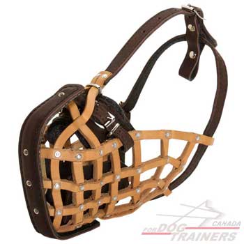 Agitation Leather Dog Muzzle