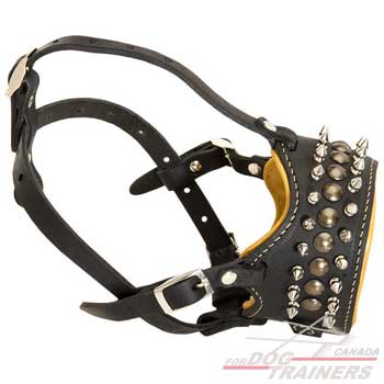 Adjustable Leather Dog Muzzle
