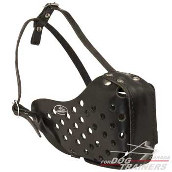 Leather Dog Muzzle for Protection Work