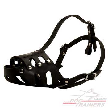 Dog muzzle leather lightweight for no-bark training