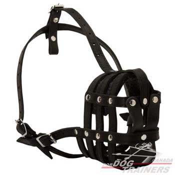 Dog leather muzzle mesh cage