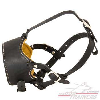 Leather muzzle adjustable for no bark training