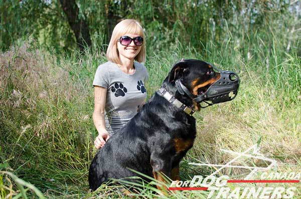Rottweiler leather muzzle soft felt padded