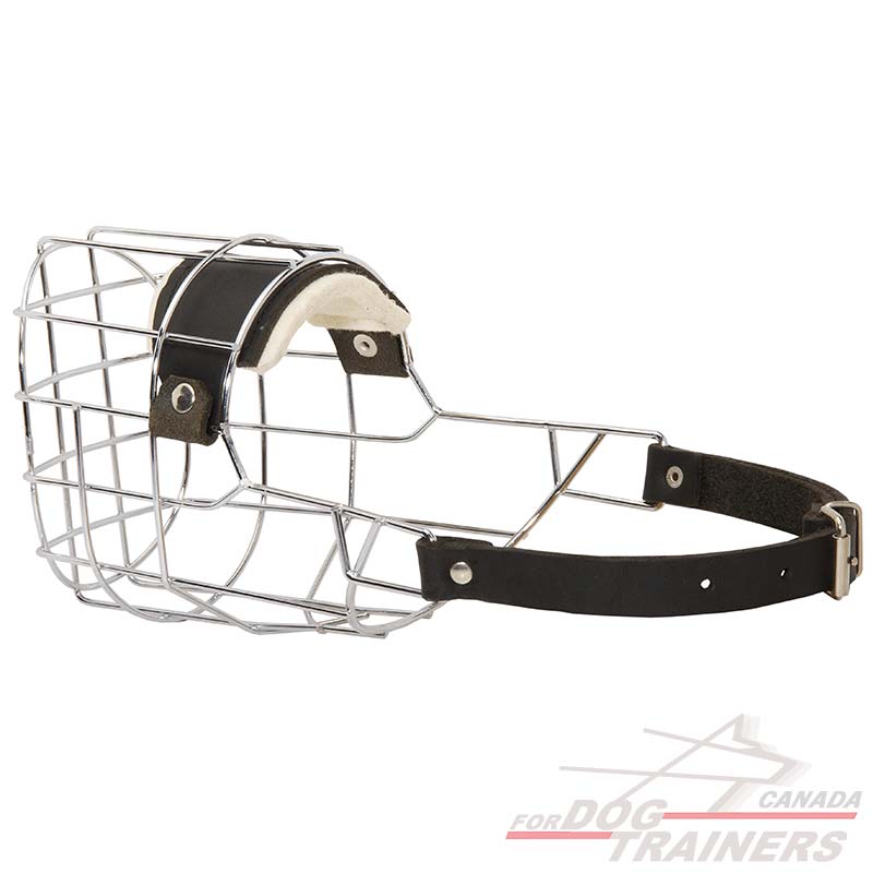 canine basket muzzle